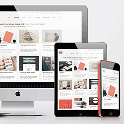 Responsive Checker icon