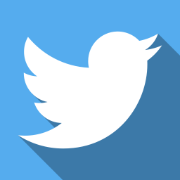 Rimons Twitter Widget icon