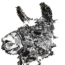 RSS llama icon