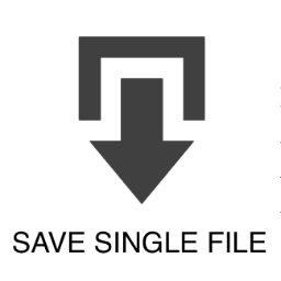 Save Single File icon