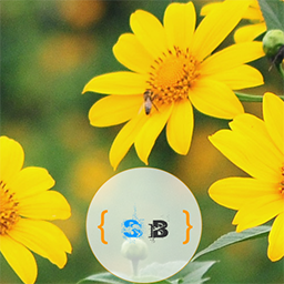 SB Tab Widget icon