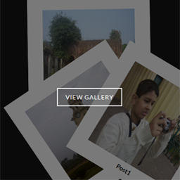 Scattered Polaroid Image Gallery icon