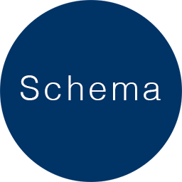 Schema Integration icon