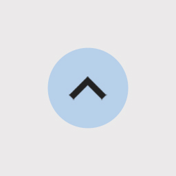 Scroll Back To Top Button icon