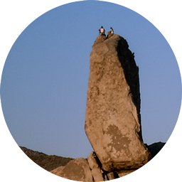 Search Placeholder Avada icon