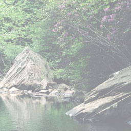 Send Images to RSS icon