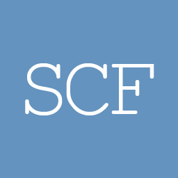 SEO Custom Fields icon