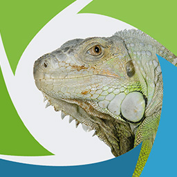 SeoSamba for WordPress Webmasters icon