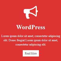 Service Box – Icon Box Showcase icon