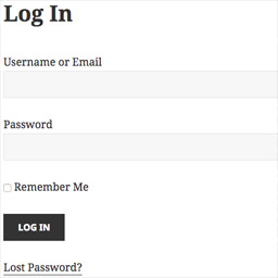 Sewn In Template Log In icon