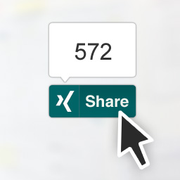 XING for WordPress icon
