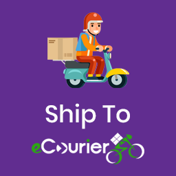Ship To eCourier icon
