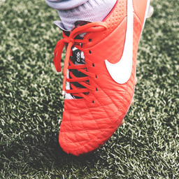 Shortcodes KNVB API icon