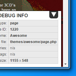 Simple Debug Info Panel icon