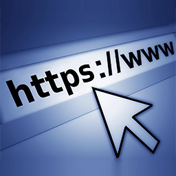 Simple Force SSL icon