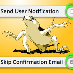 Skip Confirmation On icon