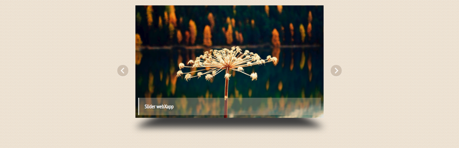 Plugin Banner