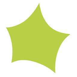 Snapplify E-Commerce icon