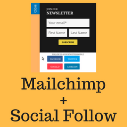 Social Subscribe Box icon