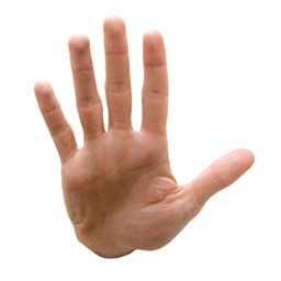 Sortable Word Count Reloaded icon