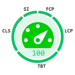 Speed Auditor icon
