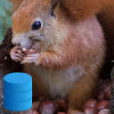 SQLite Object Cache icon