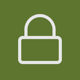 SSL Insecure Content Fixer icon