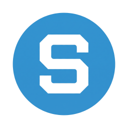 SteerWP Console icon