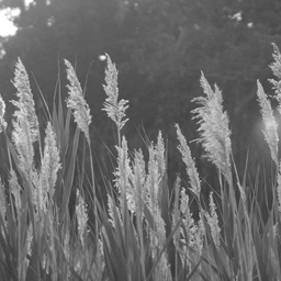 Storefront Product Sharing icon