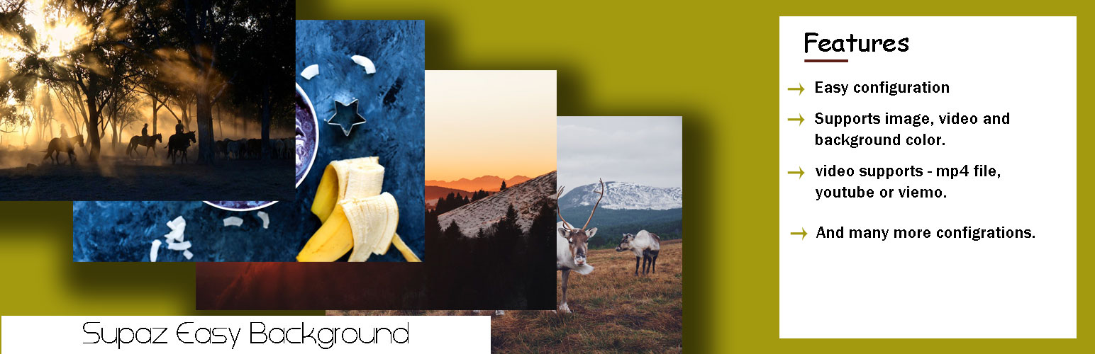 Plugin Banner