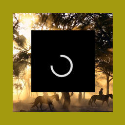 Supaz Easy Background – Easy way to add parallax image or video background icon