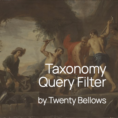 Taxonomy Query Filter icon