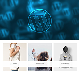 Taxonomy Thumbnail and Widget icon