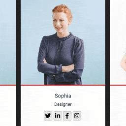 Team Member Team Showcase icon