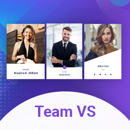 VS Team – Team Showcase WordPress icon