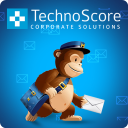 TechnoScore MailChimp Subscription icon