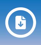 Theme Canary Demo Importer icon