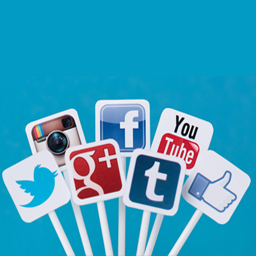 ThemeDiv Social Widget icon