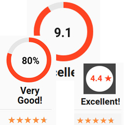 Themepacific WordPress Review Lite icon