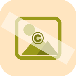Thenaynhe Watermark icon