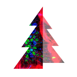 Timber with Jetpack Photon icon