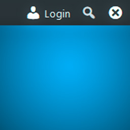 Toolbar Login Button icon