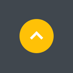 Scroll To Top icon