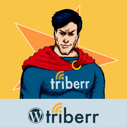 Triberr icon