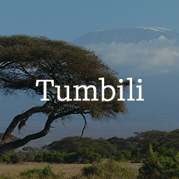 Tumbili: Mailchimp Signup for Gutenberg icon