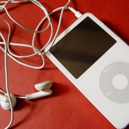Tune Library icon
