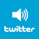 WP Twitter Auto Publish icon