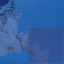 Ultimate Watermark – Image Watermark, Image Protection & Bulk Watermarking icon