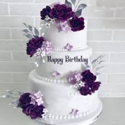 Users Birthday Email icon