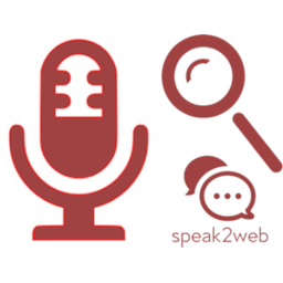Universal Voice Search icon